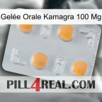 Gelée Orale Kamagra 100 Mg 24